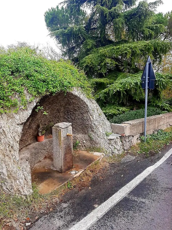 Appartamento Piano Terra Bologna